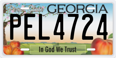 GA license plate PEL4724
