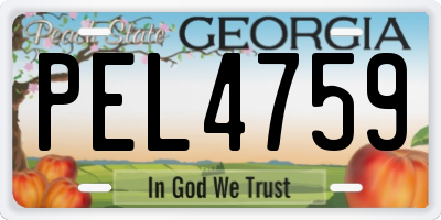 GA license plate PEL4759