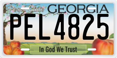 GA license plate PEL4825