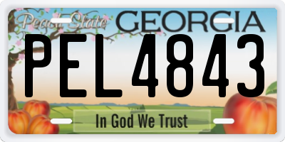 GA license plate PEL4843