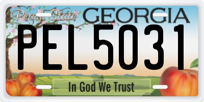 GA license plate PEL5031