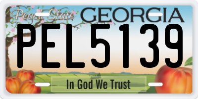 GA license plate PEL5139