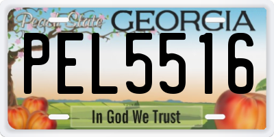 GA license plate PEL5516