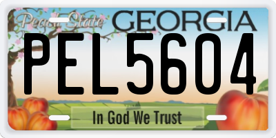 GA license plate PEL5604