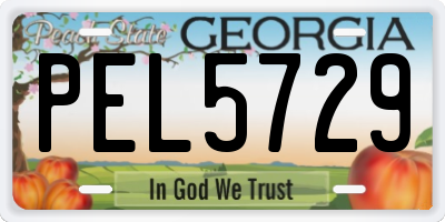 GA license plate PEL5729