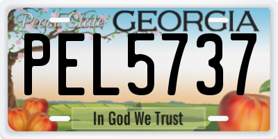 GA license plate PEL5737