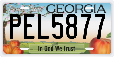 GA license plate PEL5877