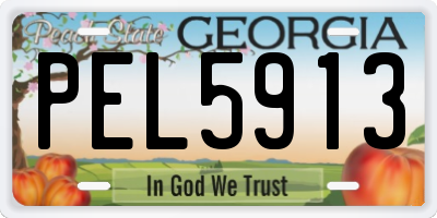 GA license plate PEL5913