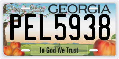 GA license plate PEL5938