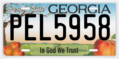 GA license plate PEL5958