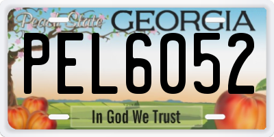 GA license plate PEL6052