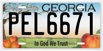 GA license plate PEL6671