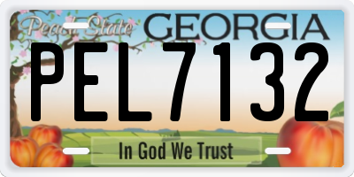 GA license plate PEL7132