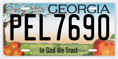 GA license plate PEL7690