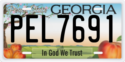 GA license plate PEL7691