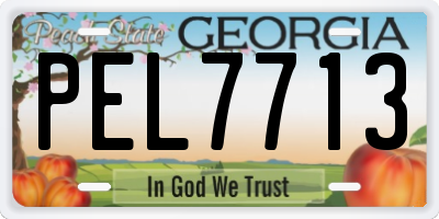 GA license plate PEL7713