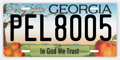 GA license plate PEL8005