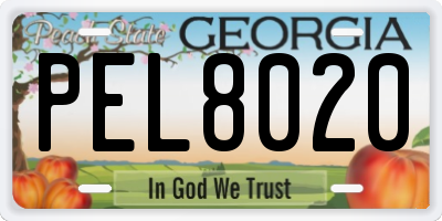 GA license plate PEL8020