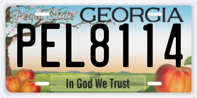 GA license plate PEL8114