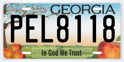 GA license plate PEL8118