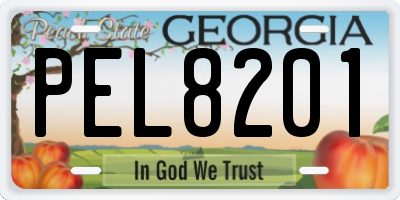 GA license plate PEL8201