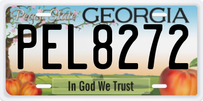 GA license plate PEL8272