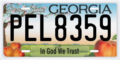 GA license plate PEL8359