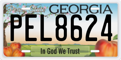 GA license plate PEL8624