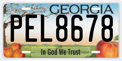 GA license plate PEL8678