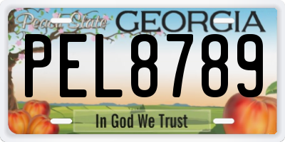 GA license plate PEL8789