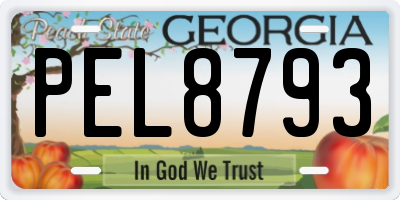 GA license plate PEL8793