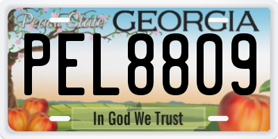 GA license plate PEL8809