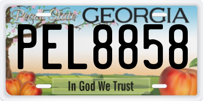 GA license plate PEL8858