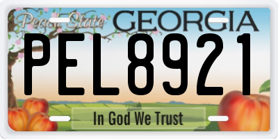 GA license plate PEL8921
