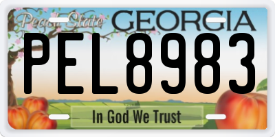 GA license plate PEL8983