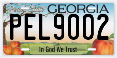 GA license plate PEL9002