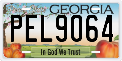 GA license plate PEL9064