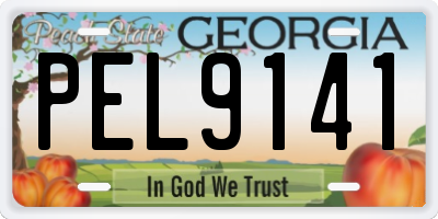GA license plate PEL9141