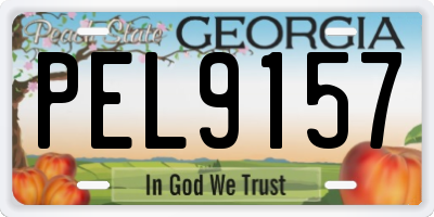 GA license plate PEL9157