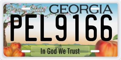 GA license plate PEL9166