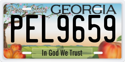 GA license plate PEL9659