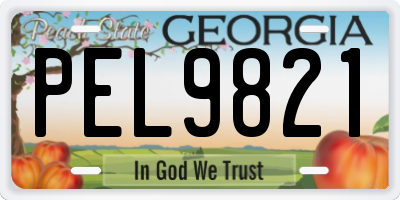 GA license plate PEL9821