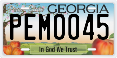 GA license plate PEM0045