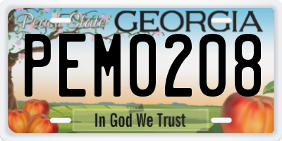 GA license plate PEM0208