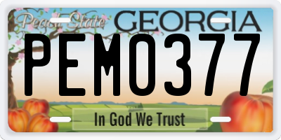 GA license plate PEM0377