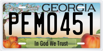 GA license plate PEM0451