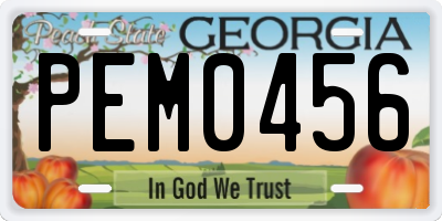 GA license plate PEM0456