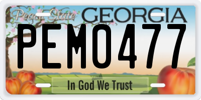 GA license plate PEM0477