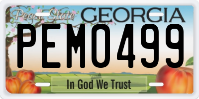 GA license plate PEM0499