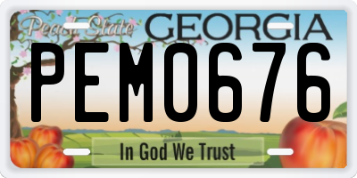 GA license plate PEM0676